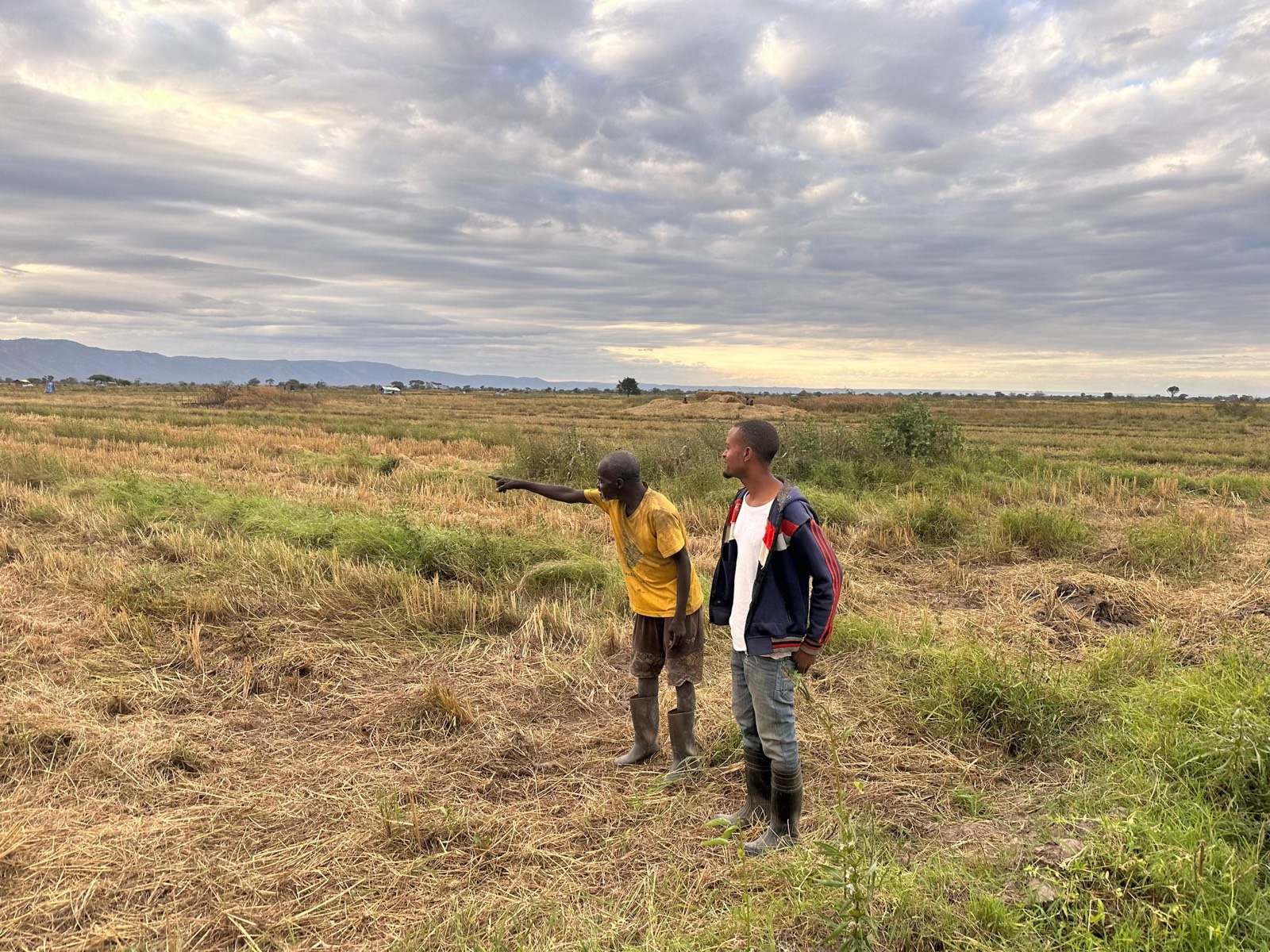 Walking through a field